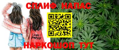 PSILOCYBIN Краснодар
