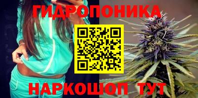 PSILOCYBIN Краснодар