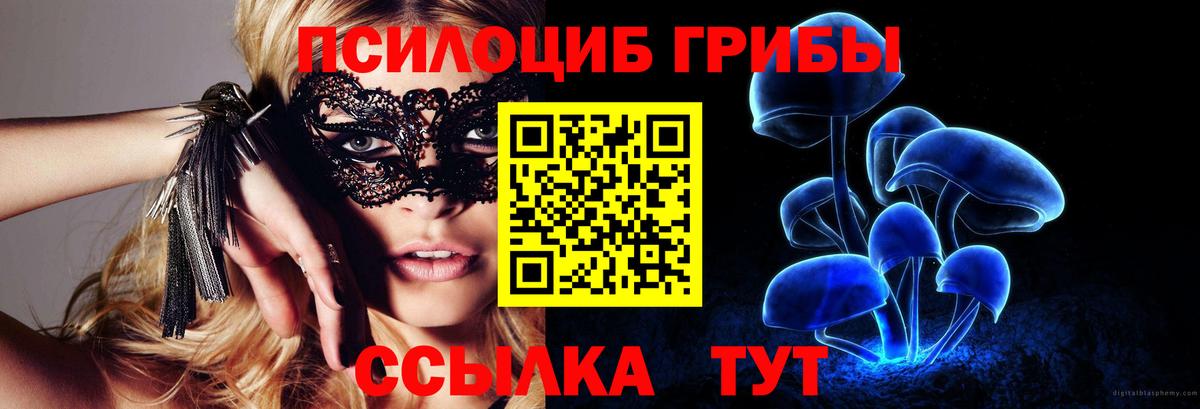 Галлюциногенные грибы Psilocybe  Вход с VPN  Азнакаево  Псилоцибиновые грибы GOLDEN TEACHER 
